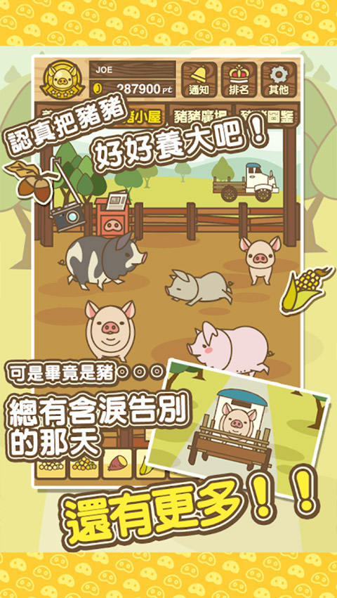 养猪场MIX图2