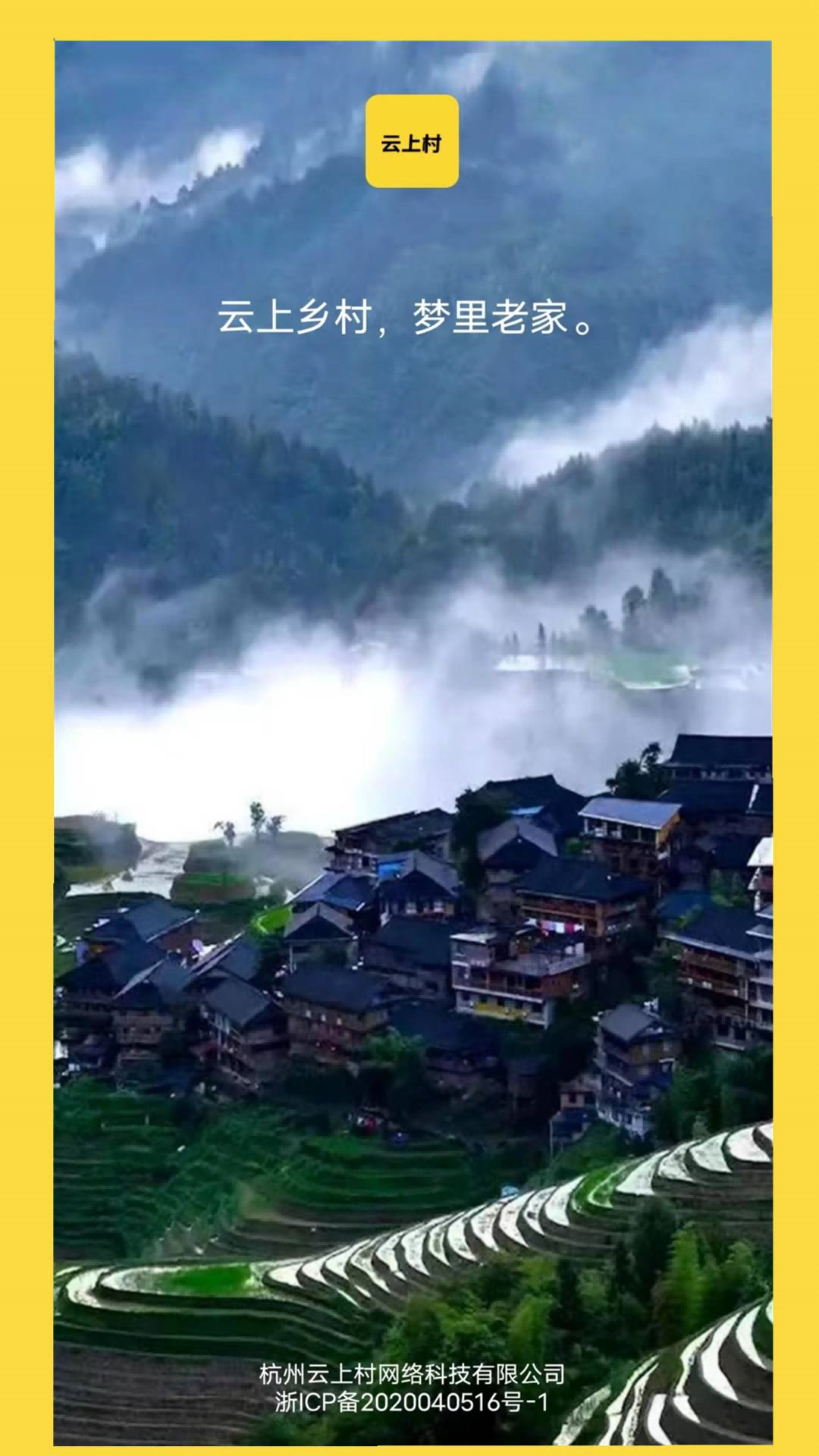 云上村app图4