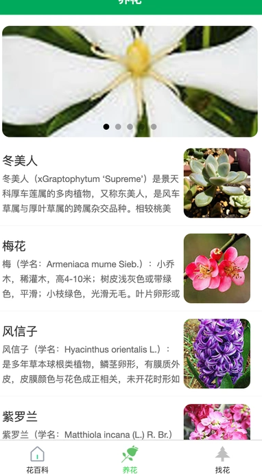虎步花园app图2