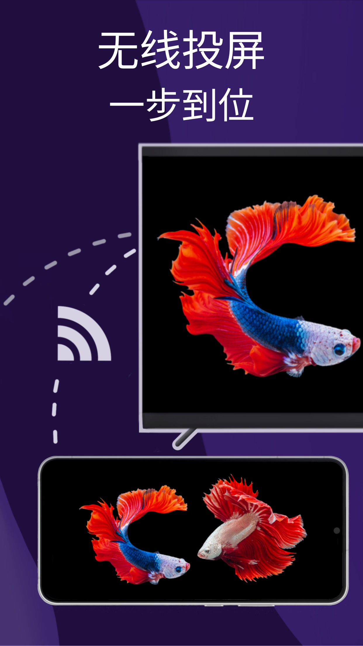 雨燕投屏手机版图4