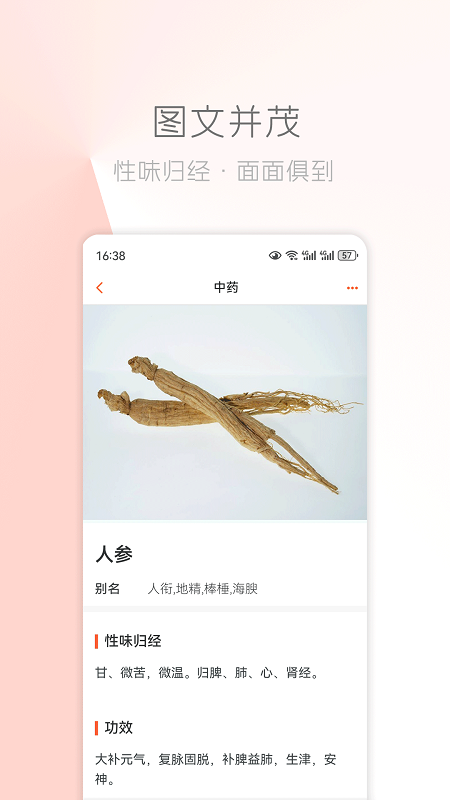 中医之家官网版图1