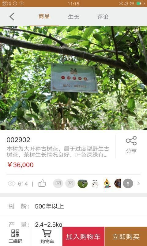 古树茶app图1