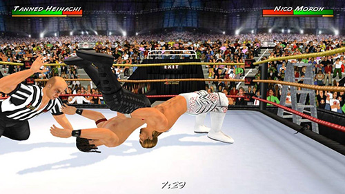 摔跤革命3D（Wrestling Revolution 3D）图2
