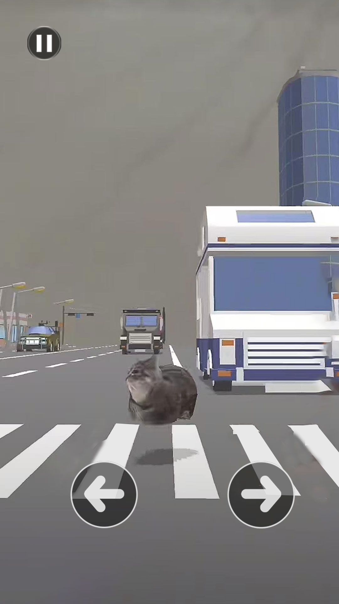小猫过马路游戏图1