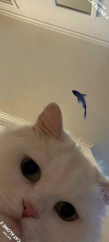 猫屿孤航2游戏图2