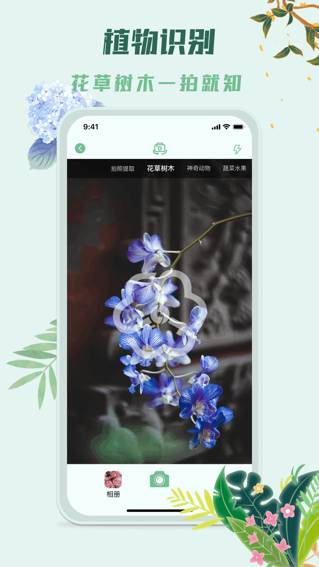识花君植物识别app图3