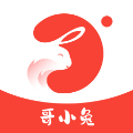 哥小兔app图标