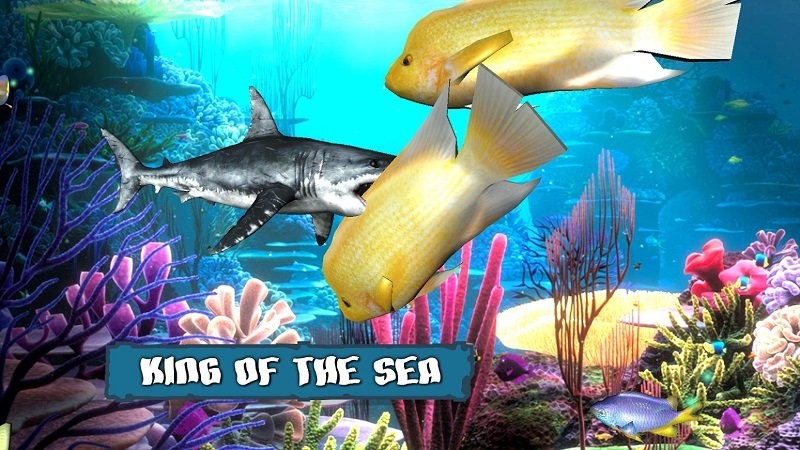 King of the Fish Tank最新版