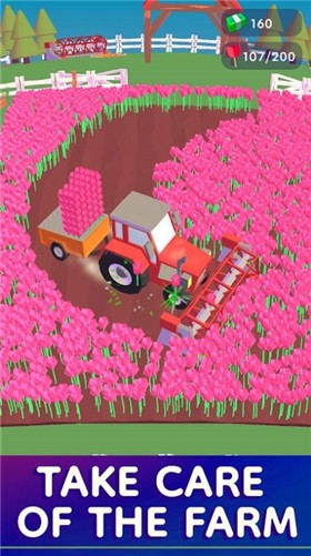 tulip farm游戏