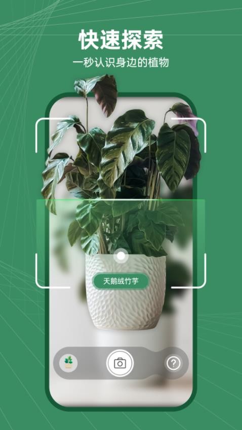花草志app图1