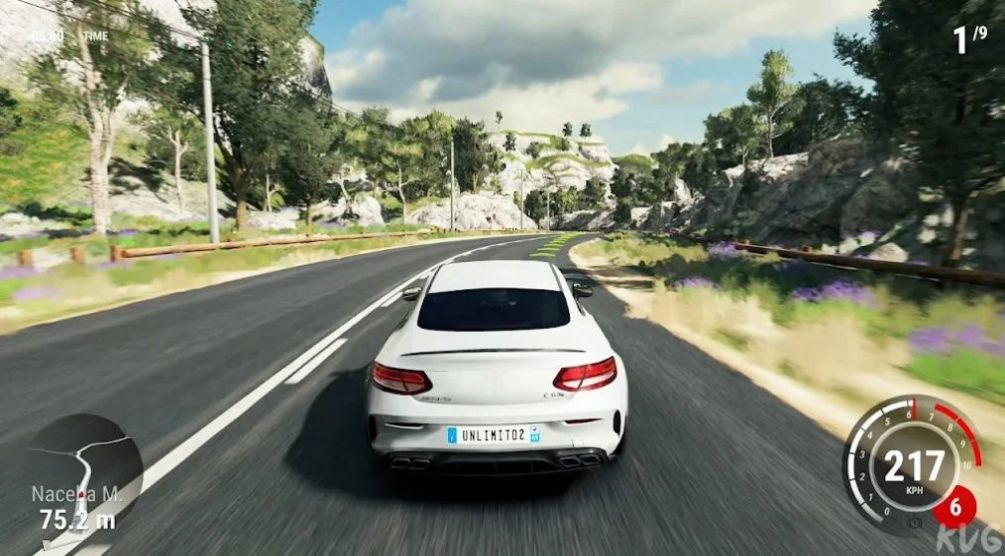 Driver Simulation