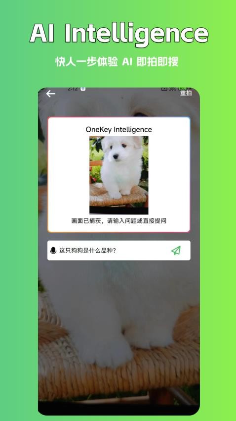 AI写作豆app图3