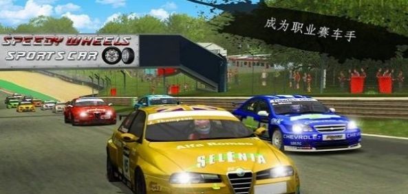 拉力赛狂怒（Rally Racer Fury 3D: Extreme Racing Game）图3