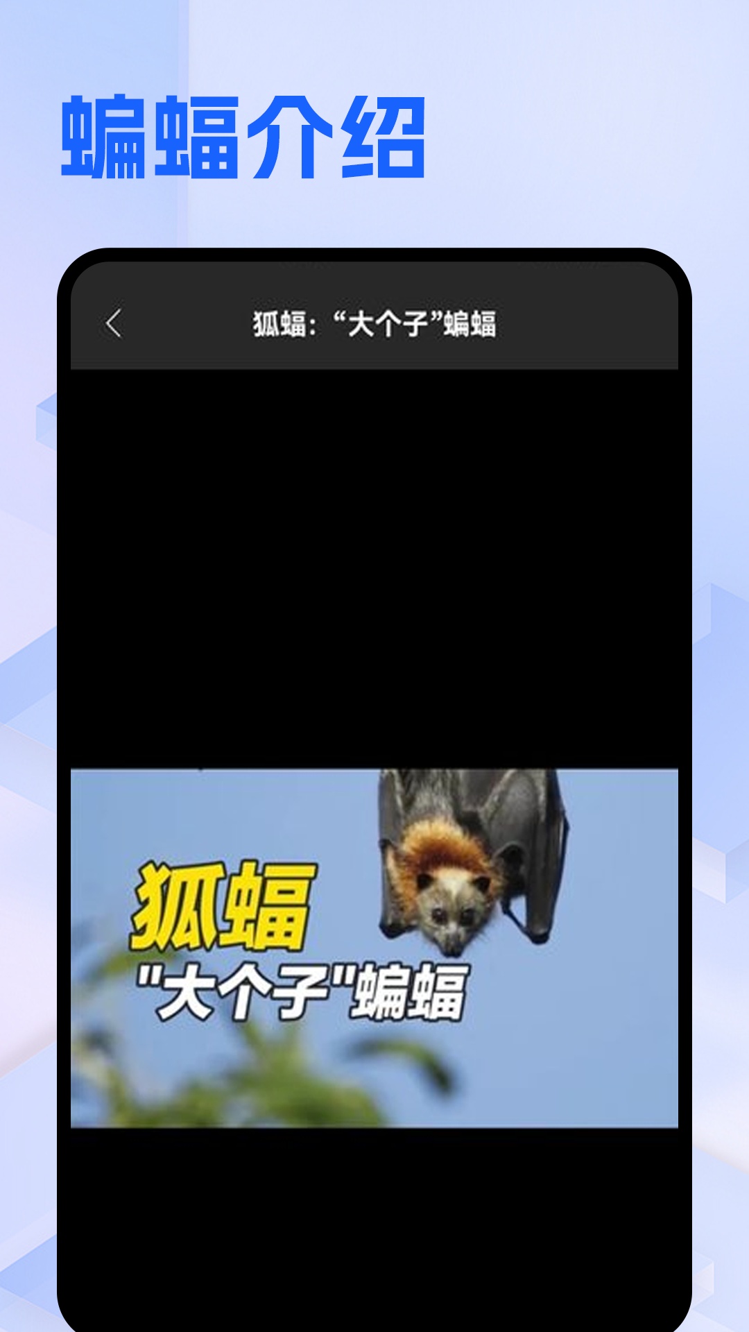 Batchat蝙蝠app