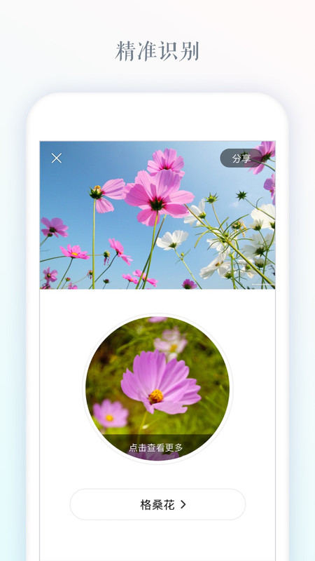 识花大师app图1
