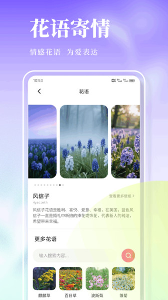 风信子笔记app图4