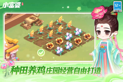 小富婆手游九游版