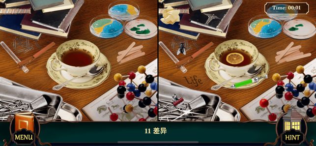 Mystery Hotel图2