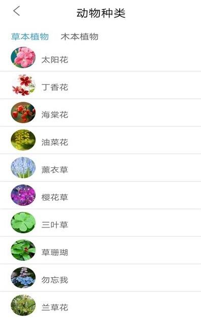 植物品鉴app图2