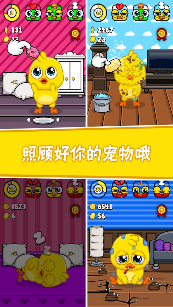 我的宠物小黄鸡游戏
