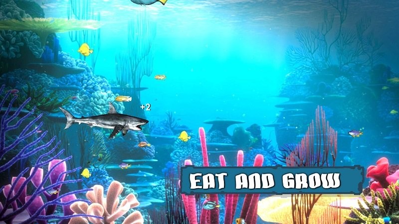 King of the Fish Tank最新版图3