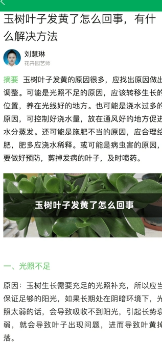 小绿植物手机版