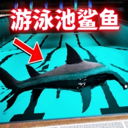 奇怪游泳池游戏图标