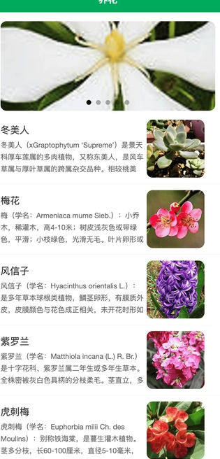 小绿植物手机版图2