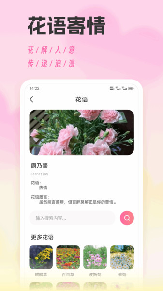 风信子聊天技巧app图4