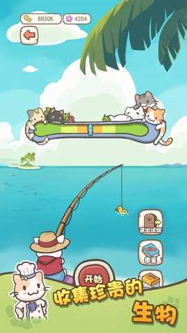 猫咪小屋游戏图3