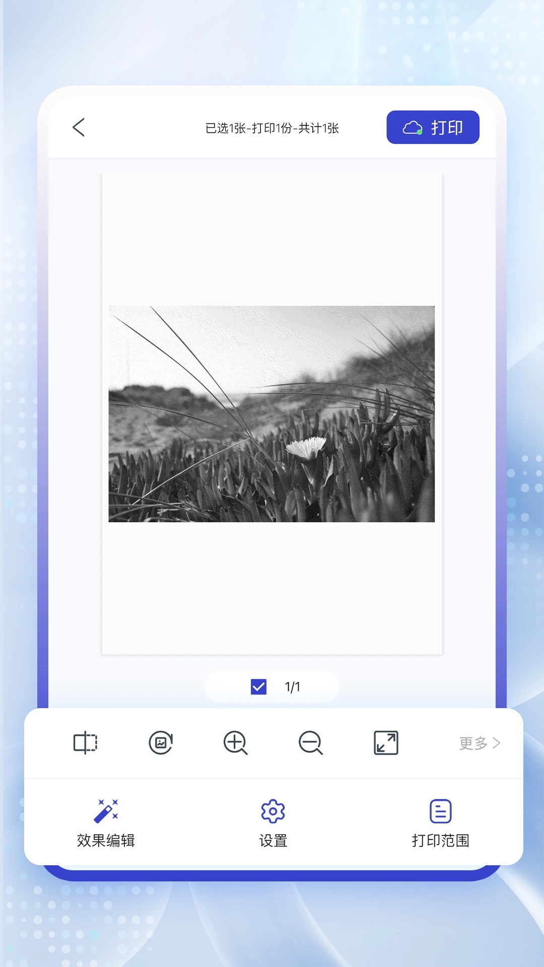 雲芯智印app图3