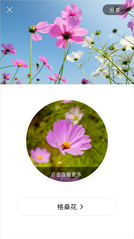 识花大师app图4