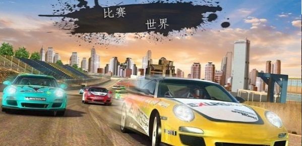 拉力赛狂怒（Rally Racer Fury 3D: Extreme Racing Game）图2