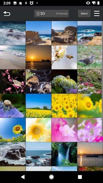LUMIX Sync app图1