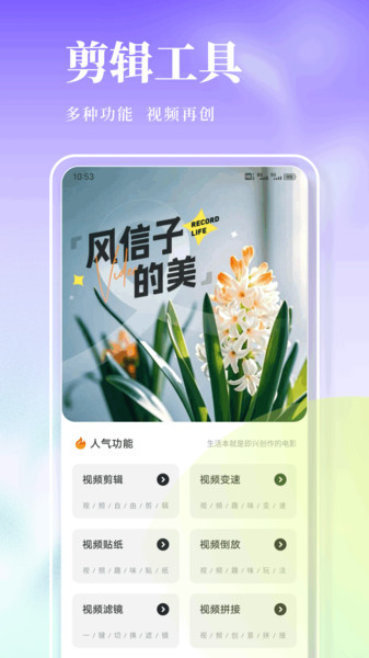 风信子笔记app
