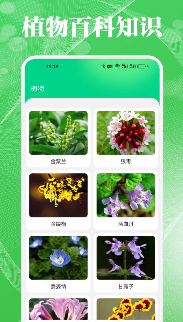 微秒花语软件