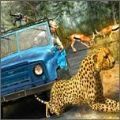 野生生存狩猎（Wild Animals Hunting Safari Shooting Game）图标