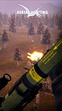 空中狩猎者（Air Hunting Shooting : Deer）图2