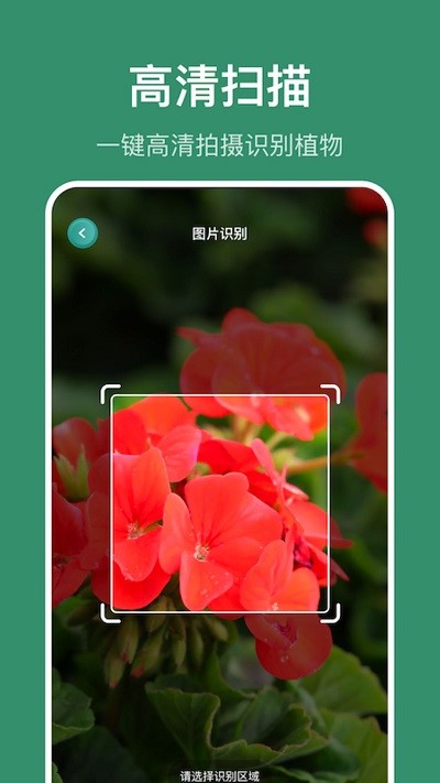 小黄养花app