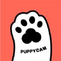 puppycam软件图标
