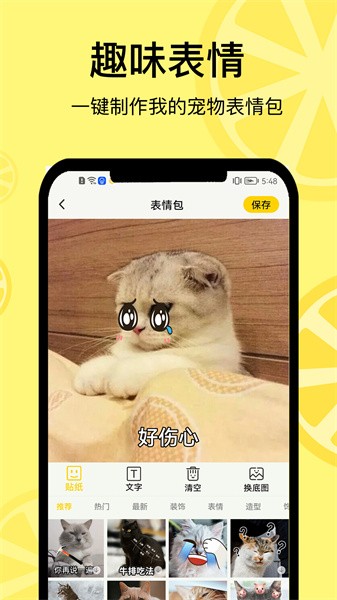 宠日常app图3