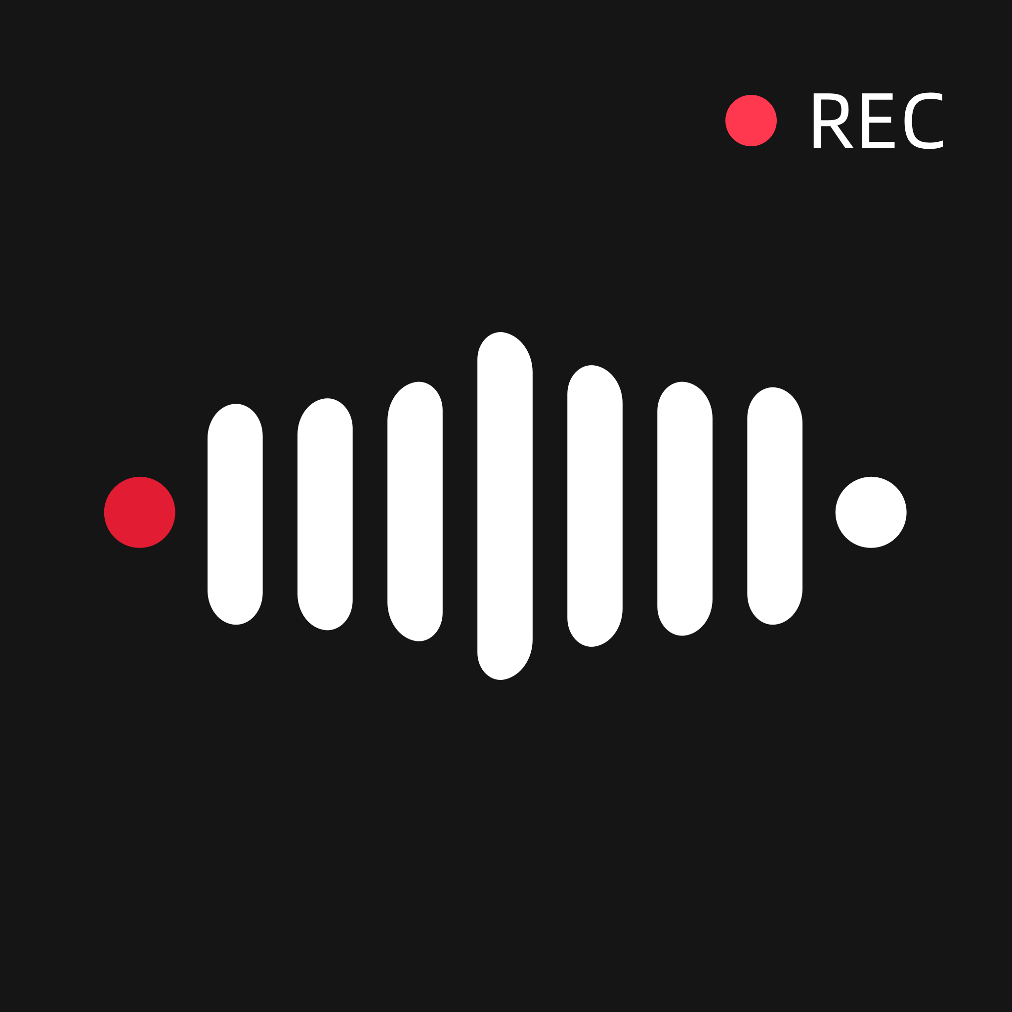 录音机录音宝软件图标