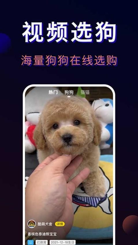 宠物宝-一站式宠物服务平台app图3