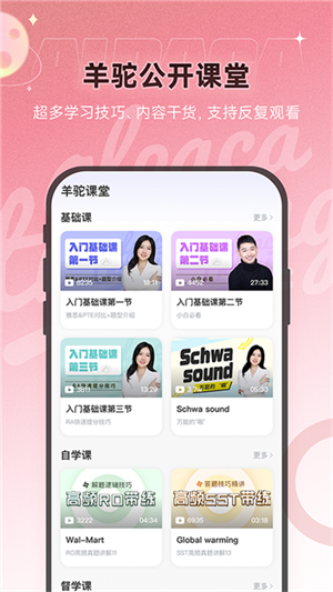 羊驼PTE软件图1