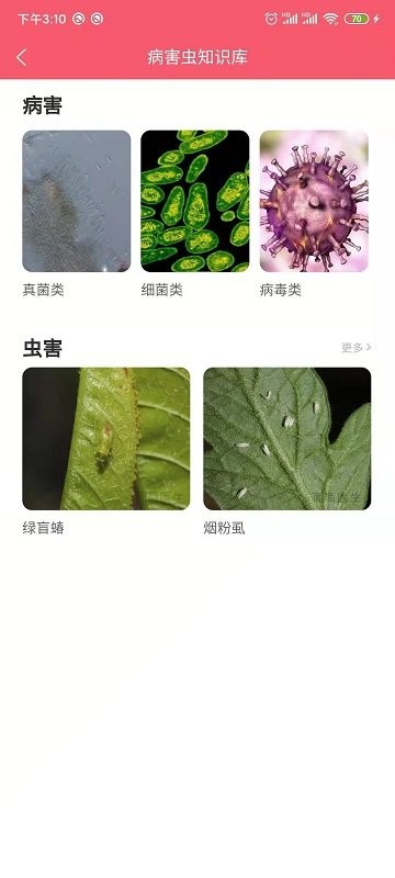 樱桃医生app图2