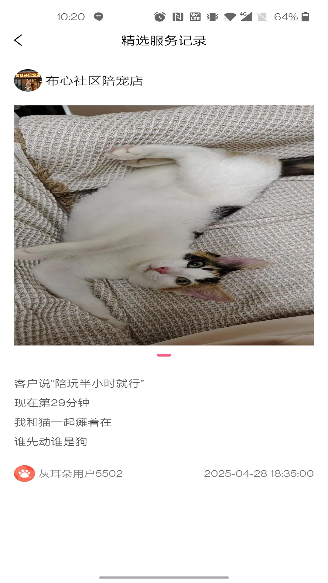 灰耳朵服务端app图3
