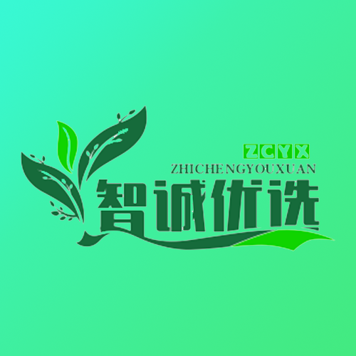 智诚优选二手车app图标
