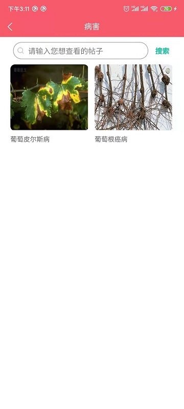 樱桃医生app图1