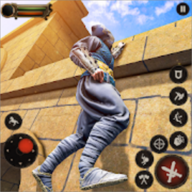Ninja Assassin手游图标