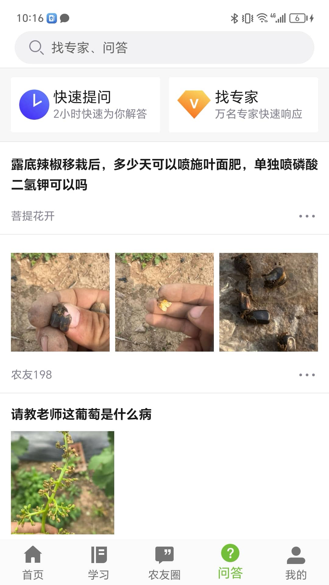 辽农云app图1